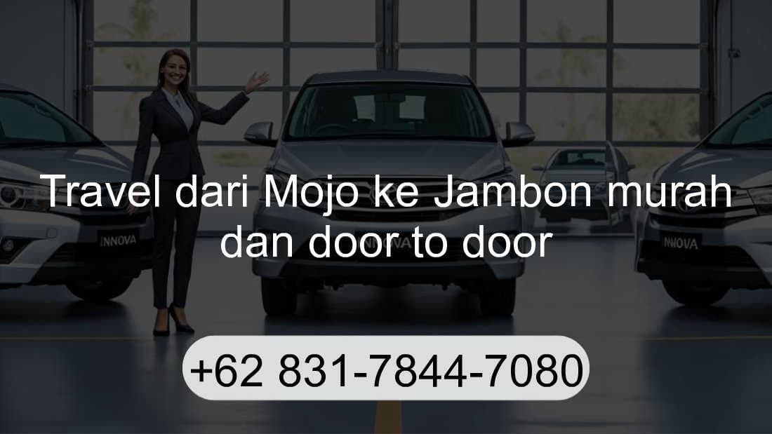 Travel Mojo Jambon