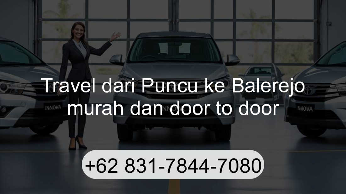 Travel Puncu Balerejo