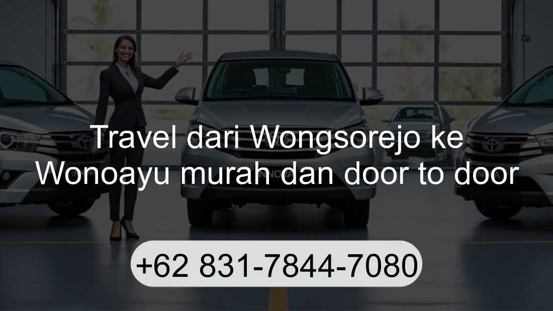 Travel Wongsorejo Wonoayu