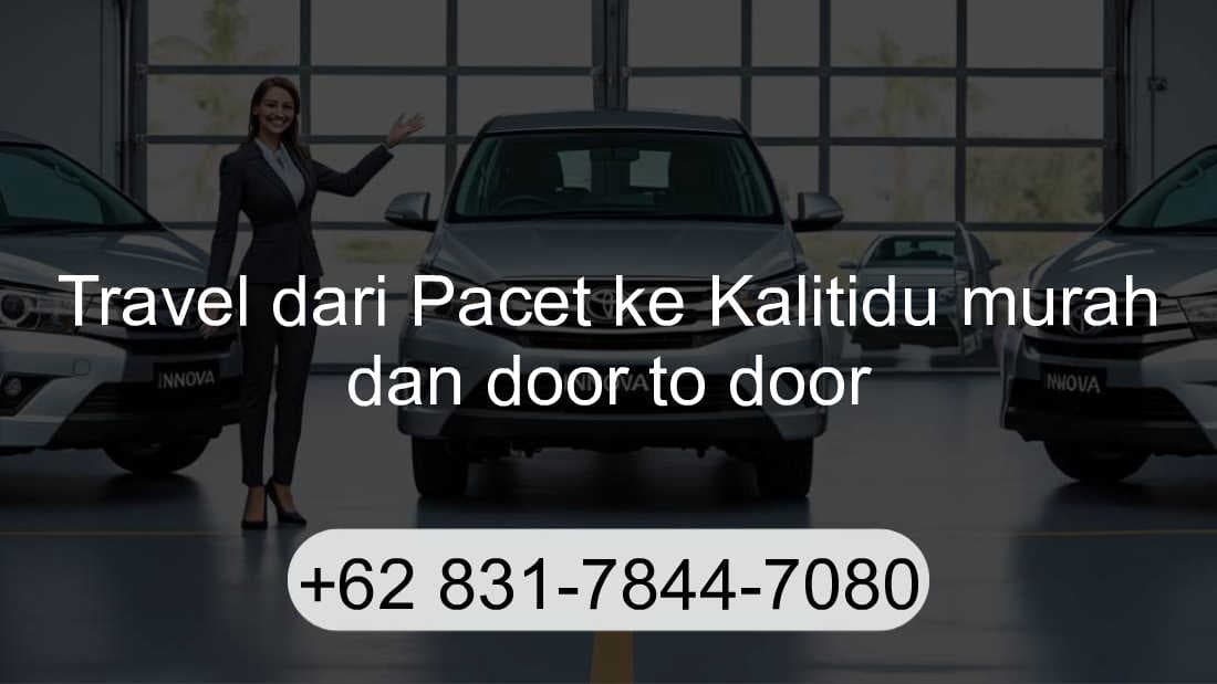 Travel Pacet Kalitidu
