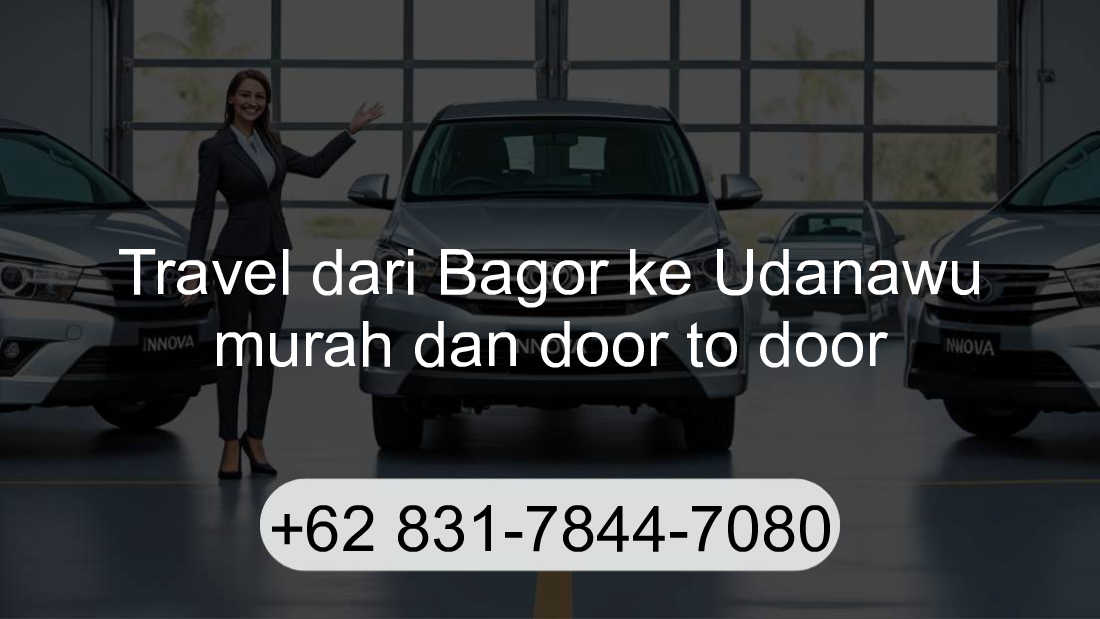 Travel Bagor Udanawu